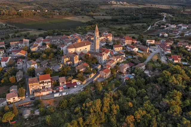 Višnjan