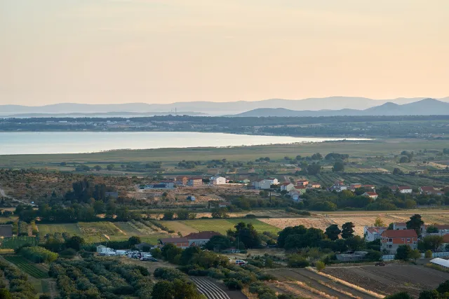 Vrana